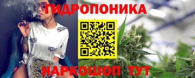 индика Абинск