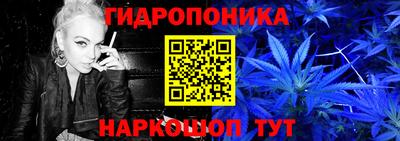 индика Абинск