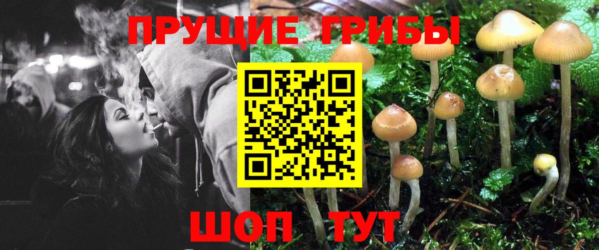 Ангарск  Псилоцибиновые грибы GOLDEN TEACHER  Вход с VPN 